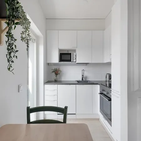 Wehost Malagankatu Apartamento